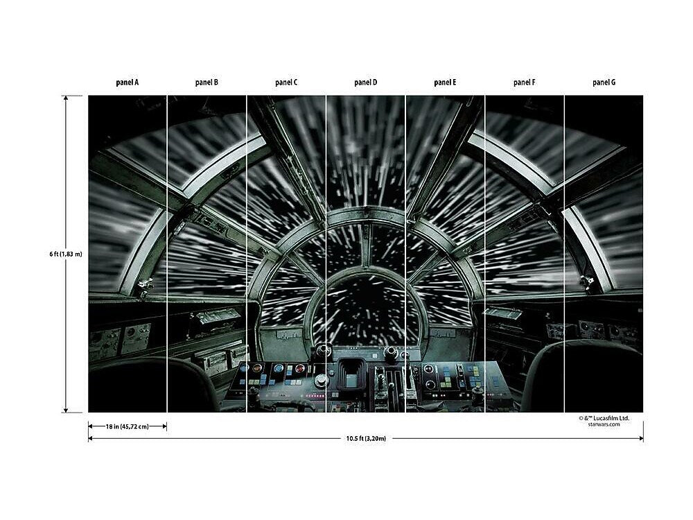 RoomMates Star Wars Millennium Falcon Contemporary Wall Mural, Movies & TV (RMK11458M)