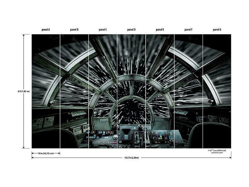 RoomMates Star Wars Millennium Falcon Contemporary Wall Mural, Movies & TV (RMK11458M)