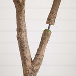 Nearly Natural 8' Autumn Maple Artificial Fall Tree (T4811)