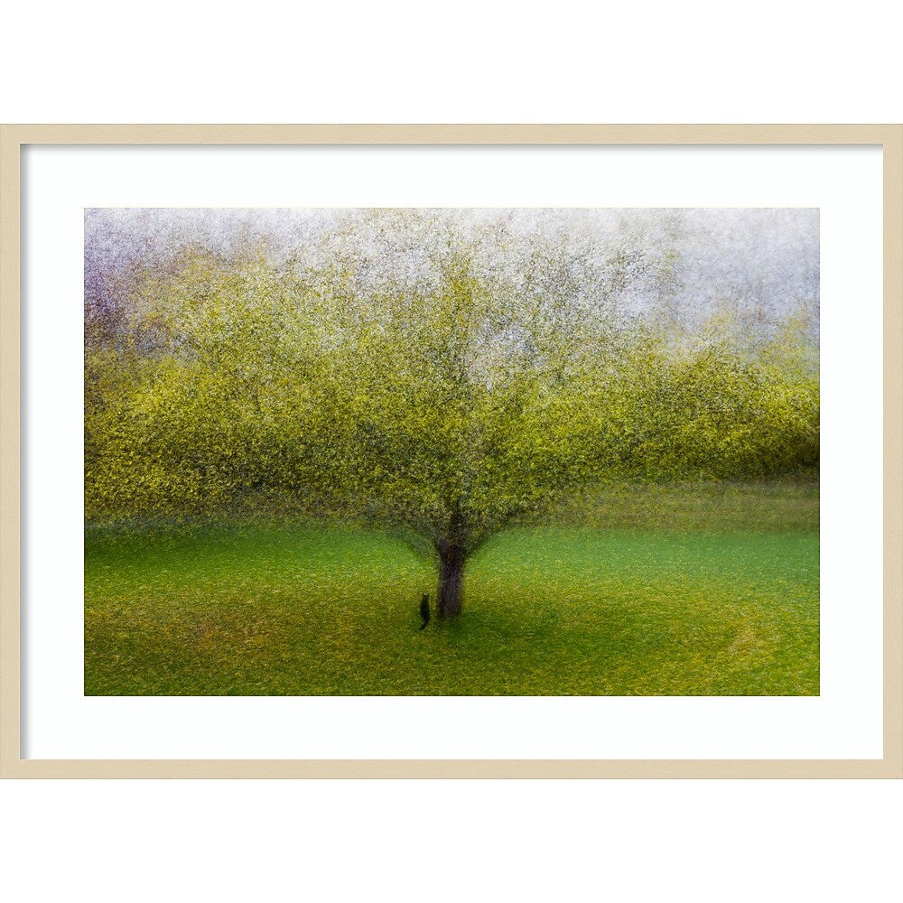 Amanti Art The Cat by the Tree by Arne Ostlund Wood Framed Wall Art Print, 41" x 30" (A42675535519)