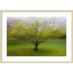 Amanti Art The Cat by the Tree by Arne Ostlund Wood Framed Wall Art Print, 41" x 30" (A42675535519)