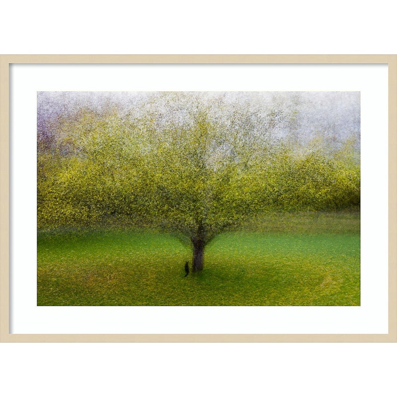 Amanti Art The Cat by the Tree by Arne Ostlund Wood Framed Wall Art Print, 41" x 30" (A42675535519)