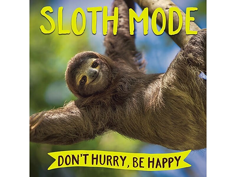 Sloth Mode, Hardcover