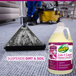 OdoBan Professional 3-in-1 Carpet Cleaner, 1 Gallon (9602B62-G4)
