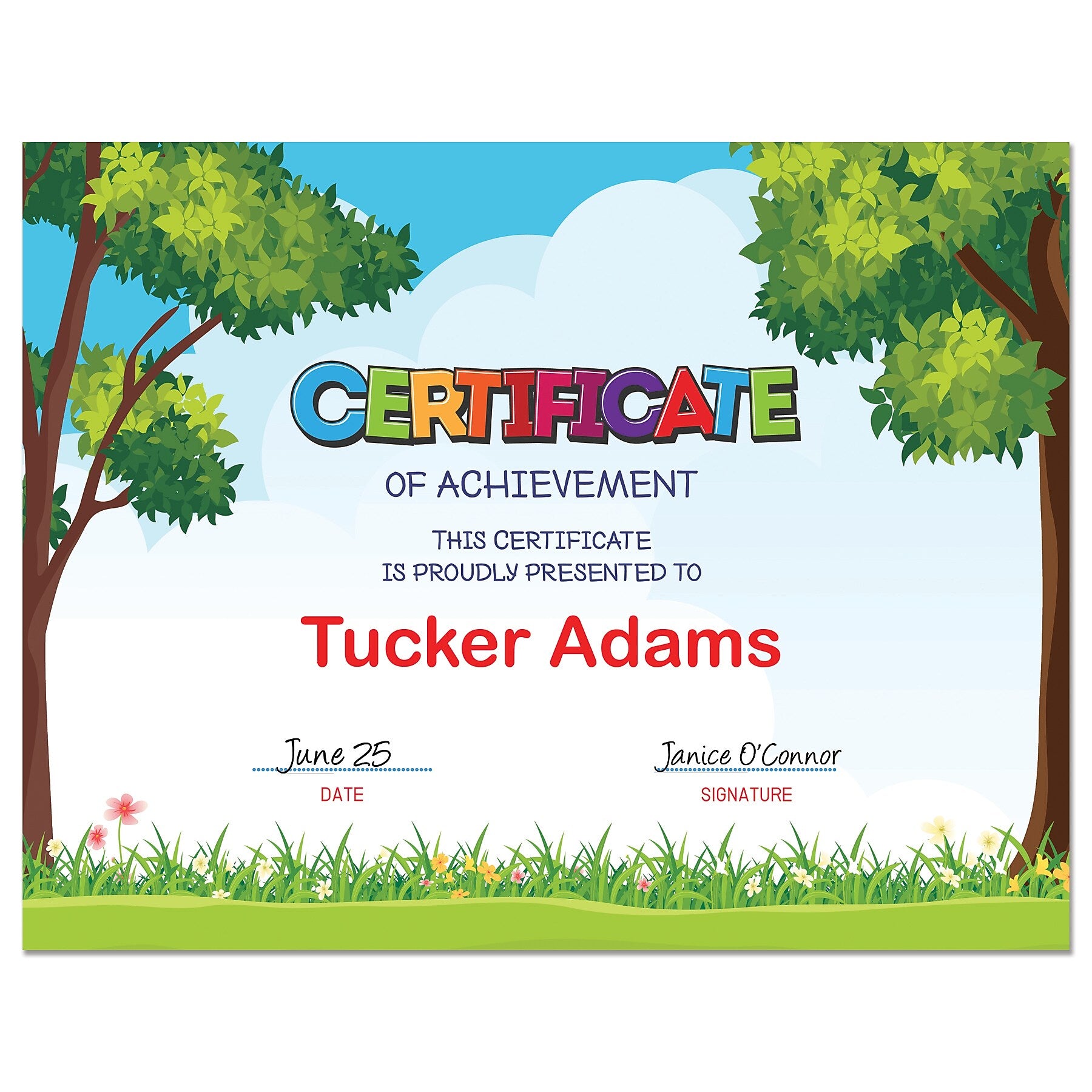 Royal Consumer Outside Scene Certificates, Multicolor, 15/Pack (GEO49950)