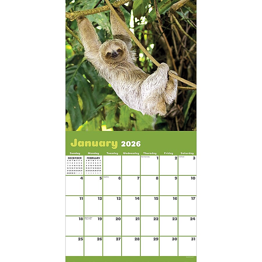 2026 TF Publishing Sloths 12" x 12" Monthly Wall Calendar (26-1045)