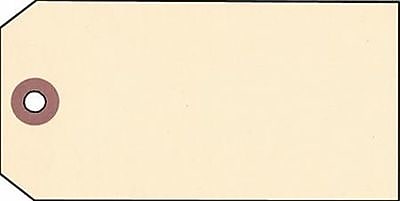 NAHANCO 6 1/4" x 3 1/8" Strung All Purpose Tag, Manila, 500/Pack (APT8)