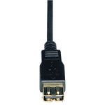 Tripp Lite 10' USB 2.0 Type A Male to Type A Female Extension Cable, Black