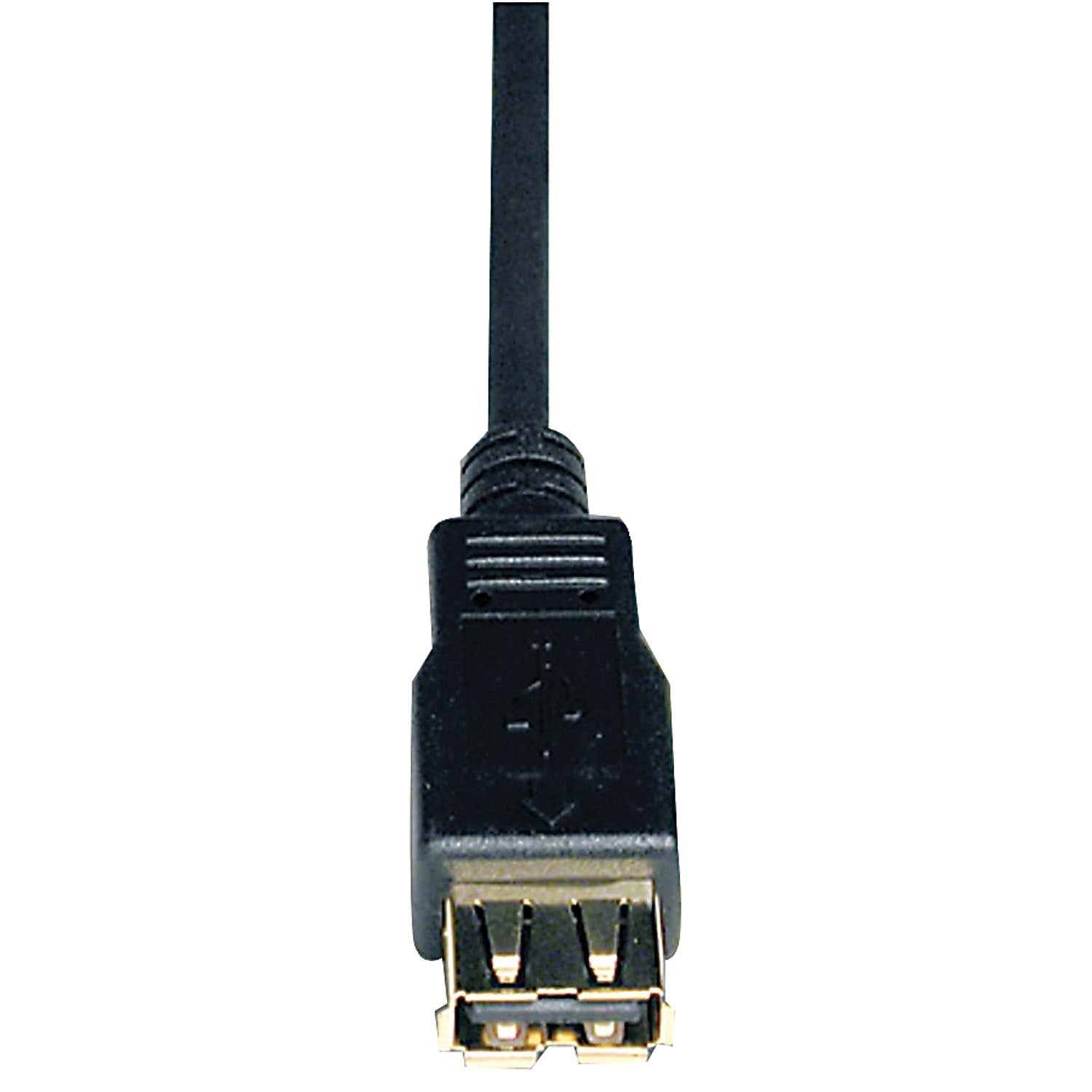Tripp Lite 10' USB 2.0 Type A Male to Type A Female Extension Cable, Black