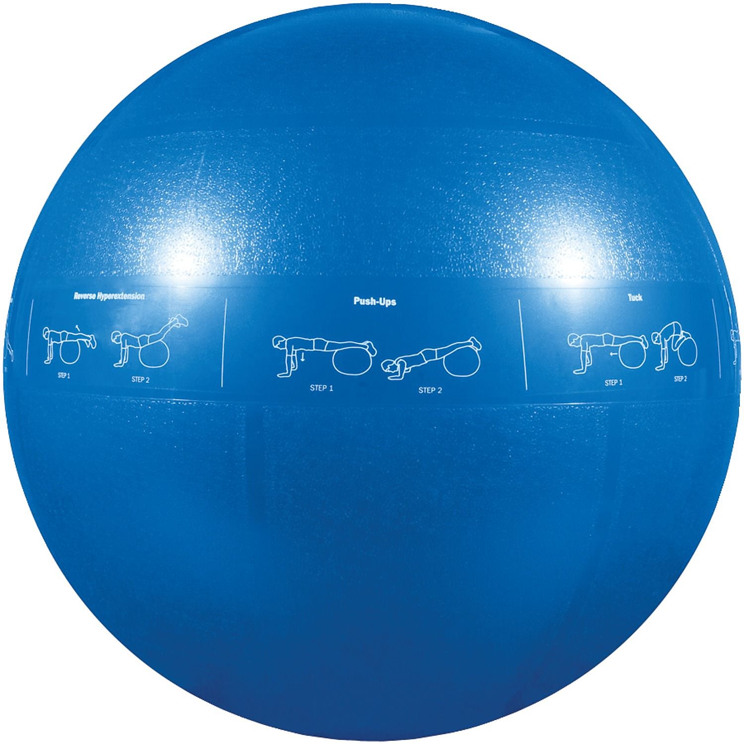 Gofit Stability Ball, Blue (GOFGF55PRO)