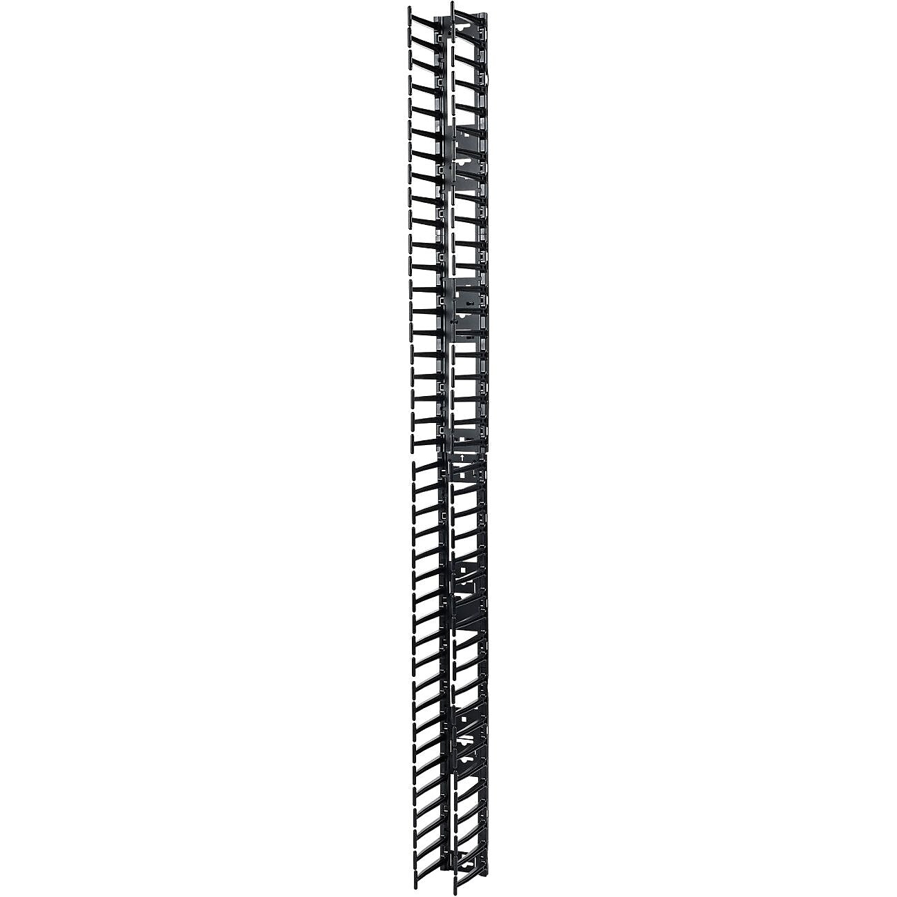 APC NetShelter 42U Server Rack Cable Manager Rack Mount (QW9331)