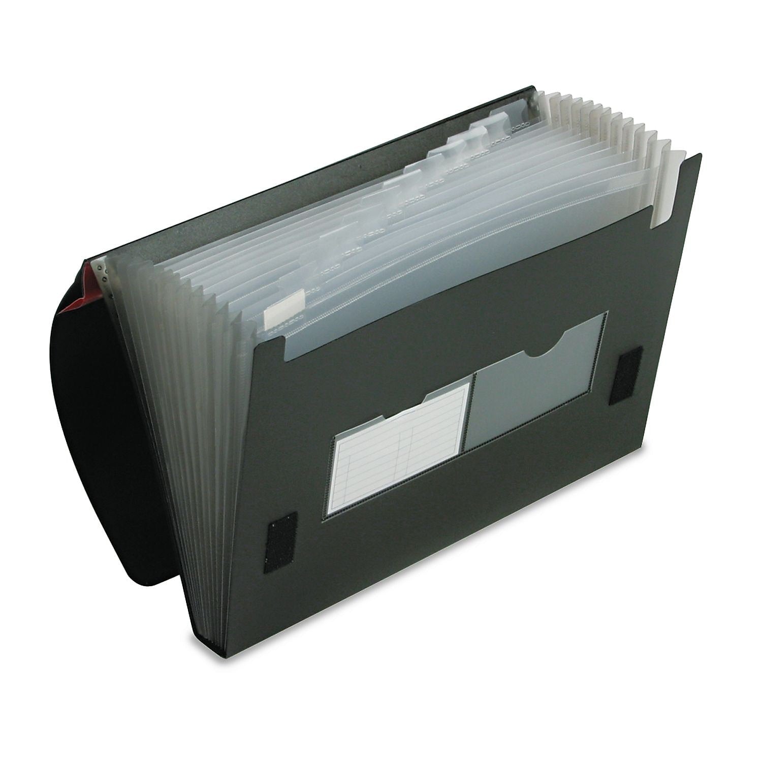 Pendaflex Heavy Duty Four Inch Expansion File, 13 Pockets, Poly, Letter, Black (82011EE)