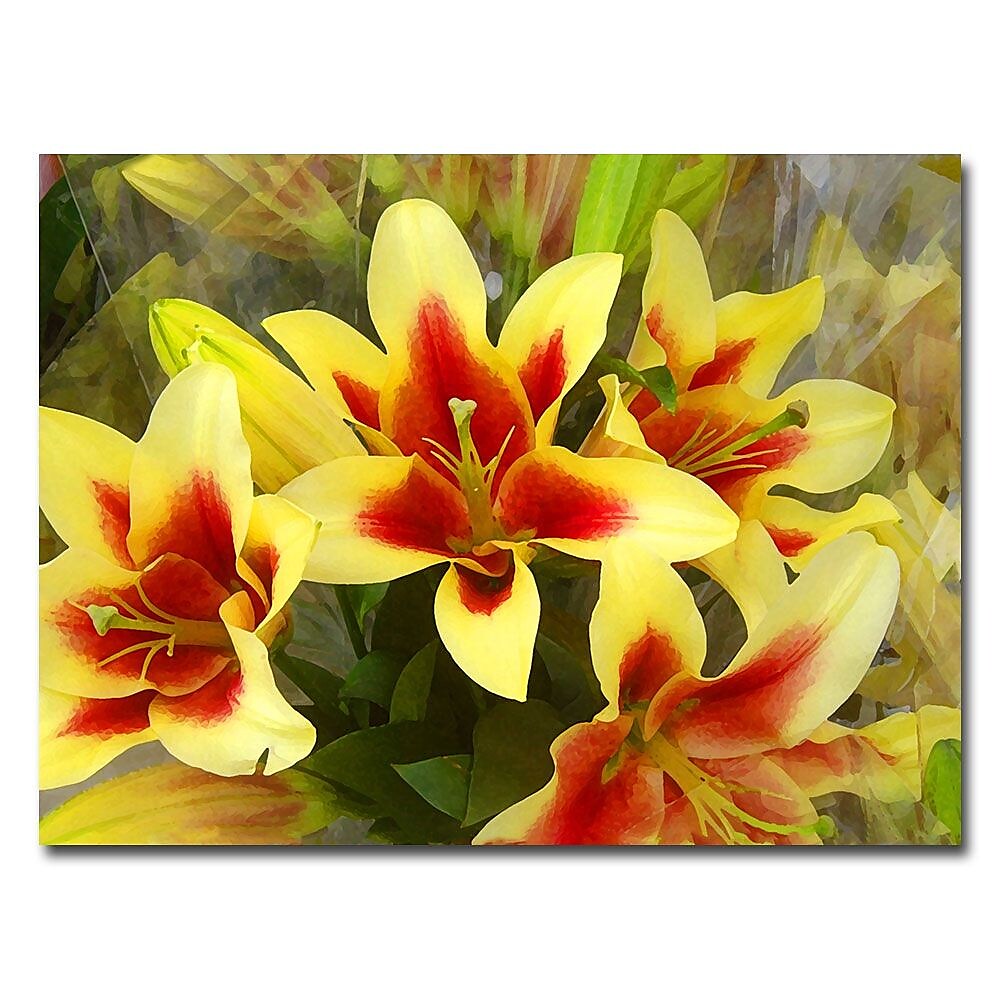 Trademark Fine Art Amy Vangsvard 'Lillies' Canvas Art