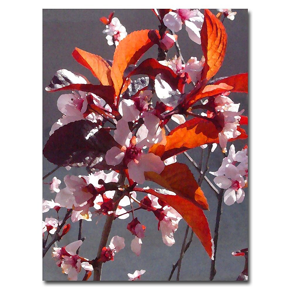 Trademark Fine Art Amy Vangsgard 'Pink Tree Blossoms' Canvas Art
