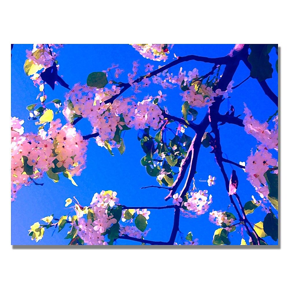 Trademark Fine Art Amy Vangsgard ' Pink Flowering' Canvas Art