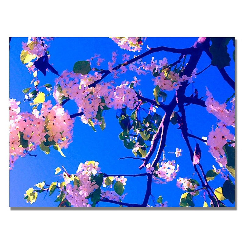 Trademark Fine Art Amy Vangsgard ' Pink Flowering' Canvas Art