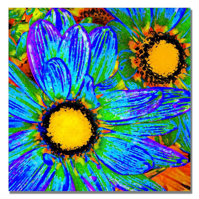Trademark Fine Art Amy Vangsgard 'Pop Daisies IV' Canvas 35x35 Inches