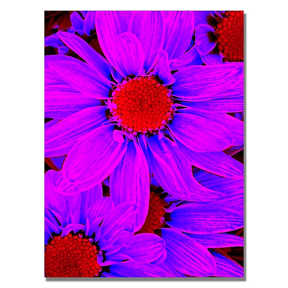 Trademark Fine Art Amy Vangsgard 'Pop Daisies IX' Canvas 35x47 Inches