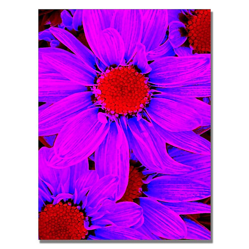 Trademark Fine Art Amy Vangsgard 'Pop Daisies IX' Canvas 35x47 Inches