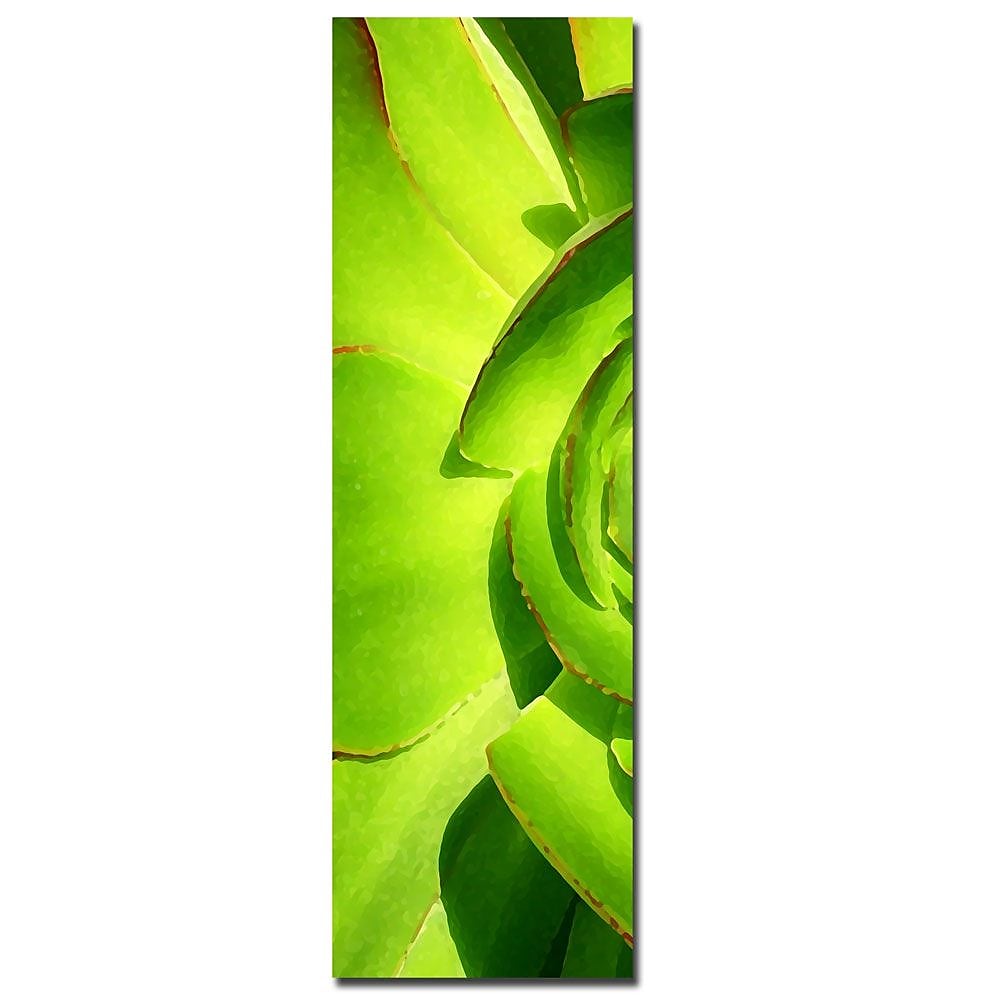 Trademark Fine Art Amy Vangsgard 'Succulent Square' Canvas Art-Part A