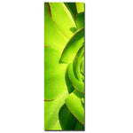 Trademark Fine Art Amy Vangsgard 'Succulent Square' Canvas Art-Part A