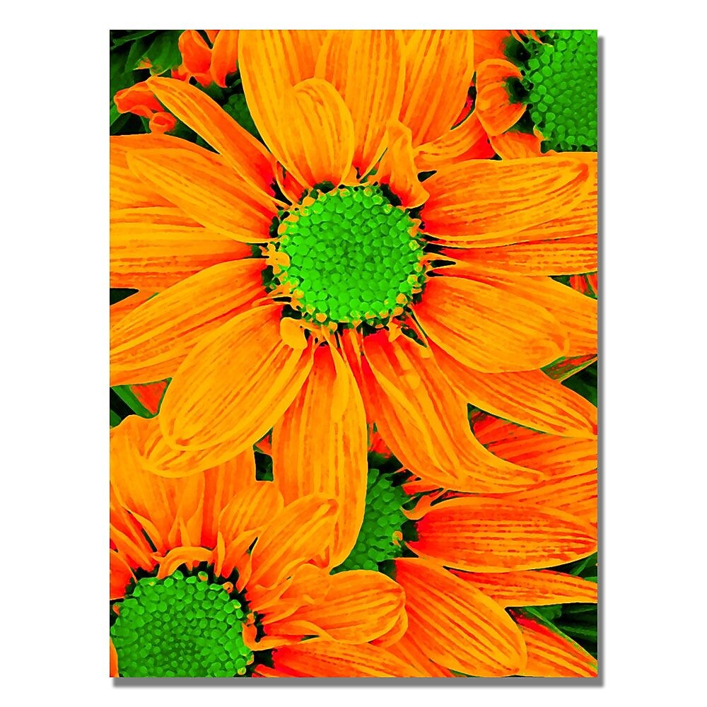Trademark Fine Art Amy Vangsgard 'Pop Daisies X' Canvas 18x24 Inches