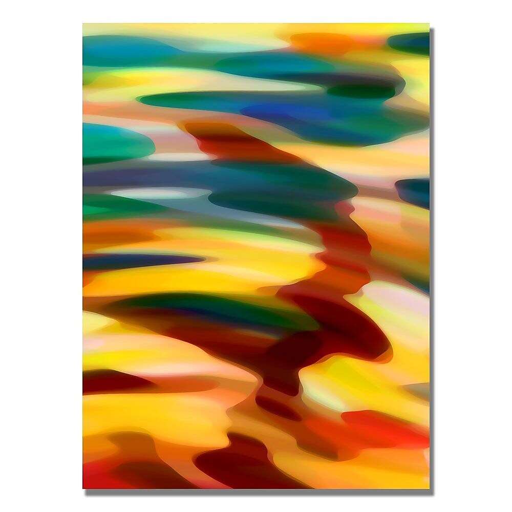 Trademark Fine Art Amy Vangsgard 'Color Fury' Canvas Art 18x24 Inches