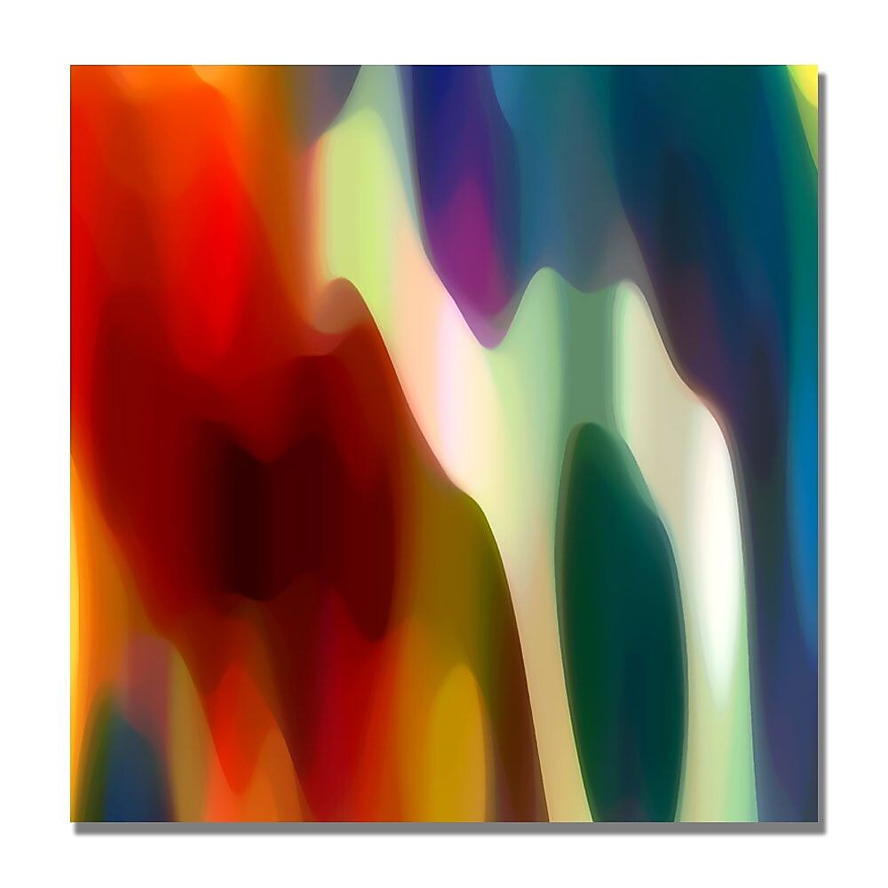 Trademark Fine Art Amy Vangsgard 'Color Fury II' Canvas Art 24x24 Inches