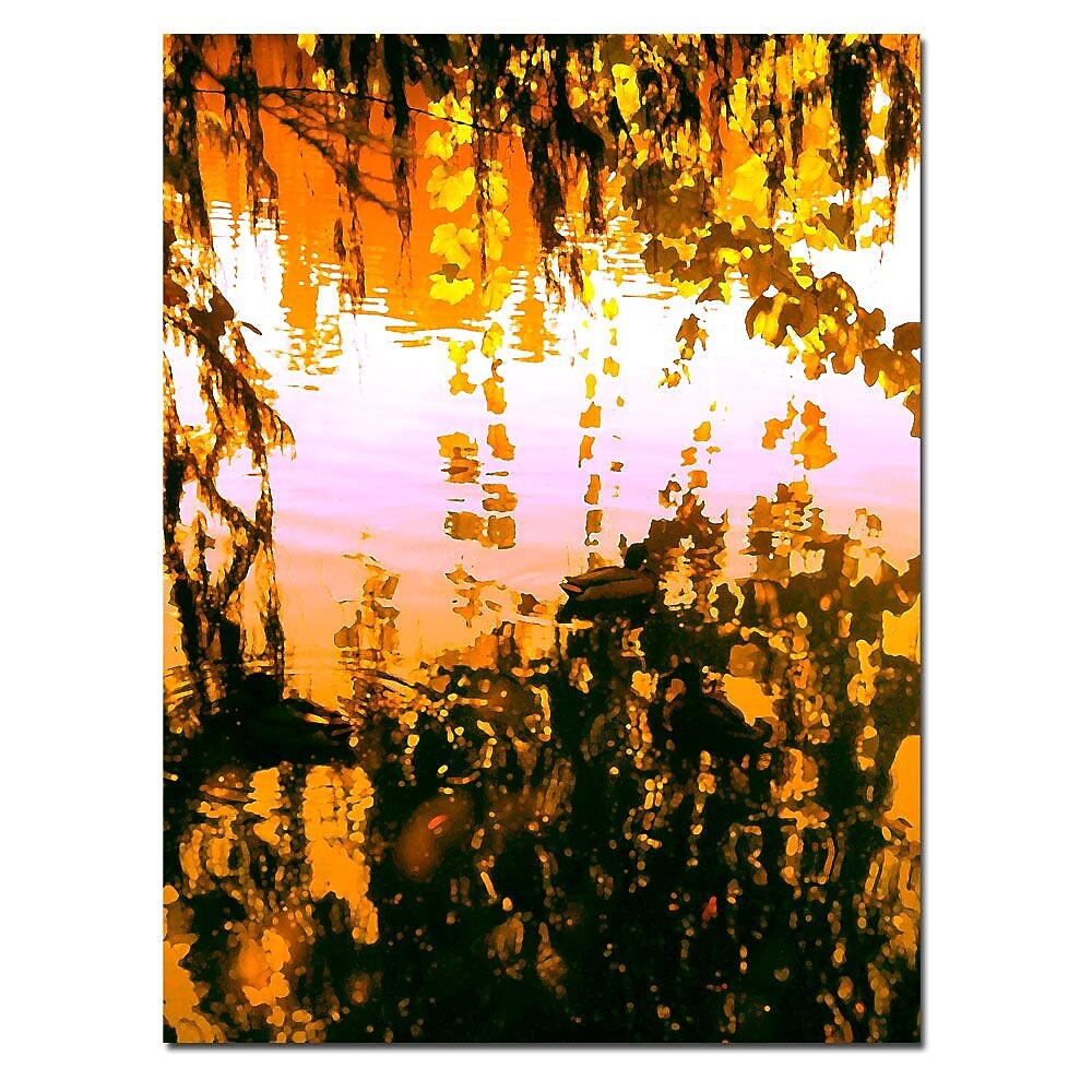 Trademark Fine Art Ducks in Morning Light-Canvas Art Ready to Hang