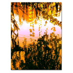 Trademark Fine Art Ducks in Morning Light-Canvas Art Ready to Hang