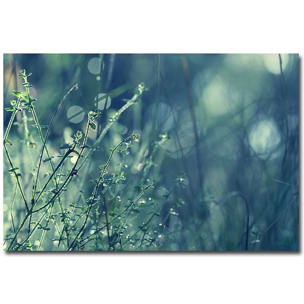 Trademark Fine Art Beata Czyzowska Young 'Blues in the Morning' Canvas Art , BC0002-C2232GG