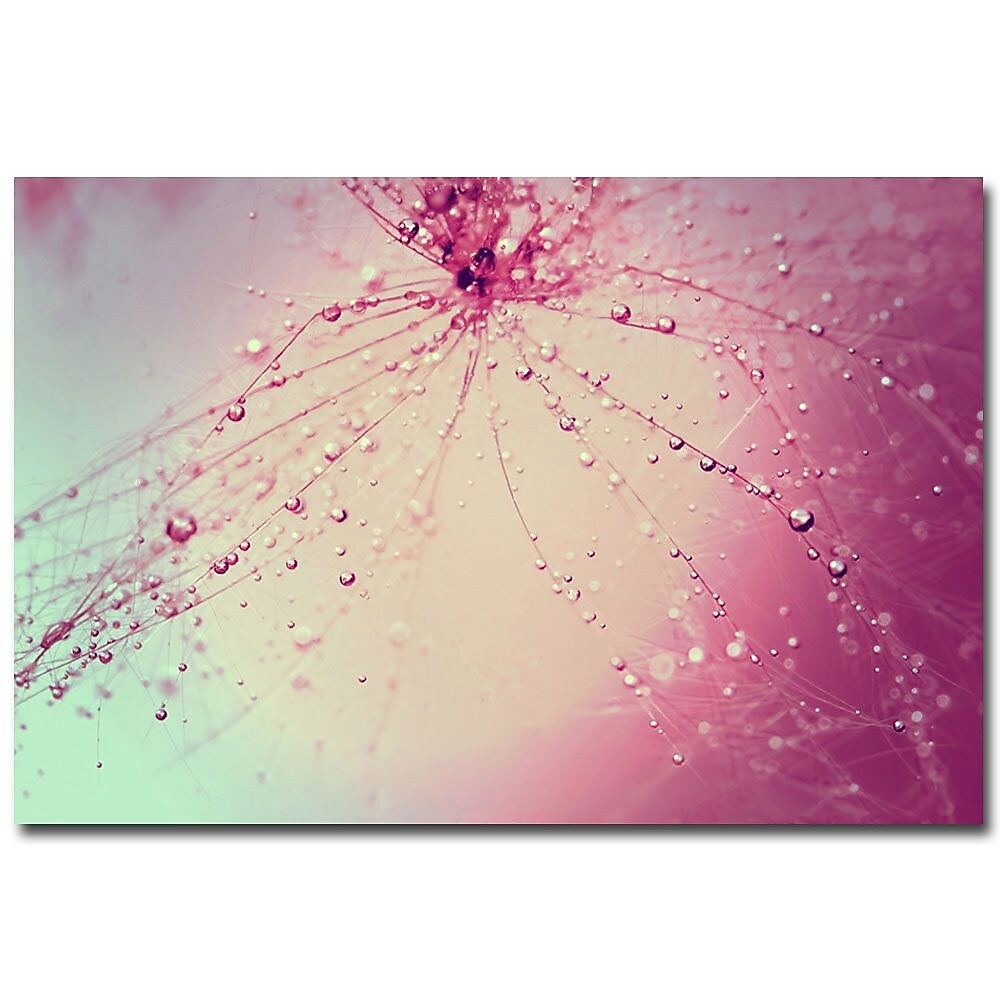 Trademark Fine Art Beata Czyzowska Young 'Celebration' Canvas Art 22x32 Inches