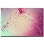 Trademark Fine Art Beata Czyzowska Young 'Celebration' Canvas Art 22x32 Inches