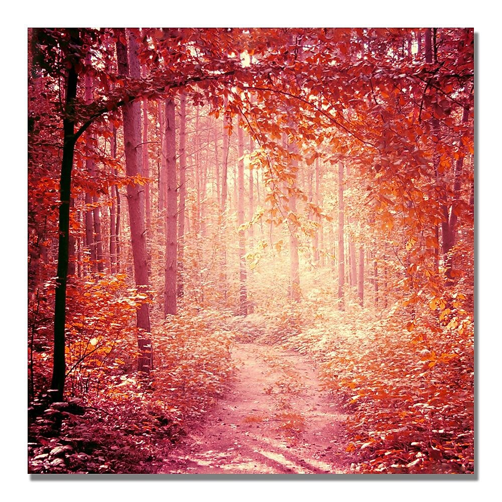 Trademark Fine Art Beata Czyzowska Young 'Enchanted Forest' Canvas Art