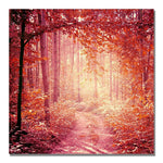 Trademark Fine Art Beata Czyzowska Young 'Enchanted Forest' Canvas Art