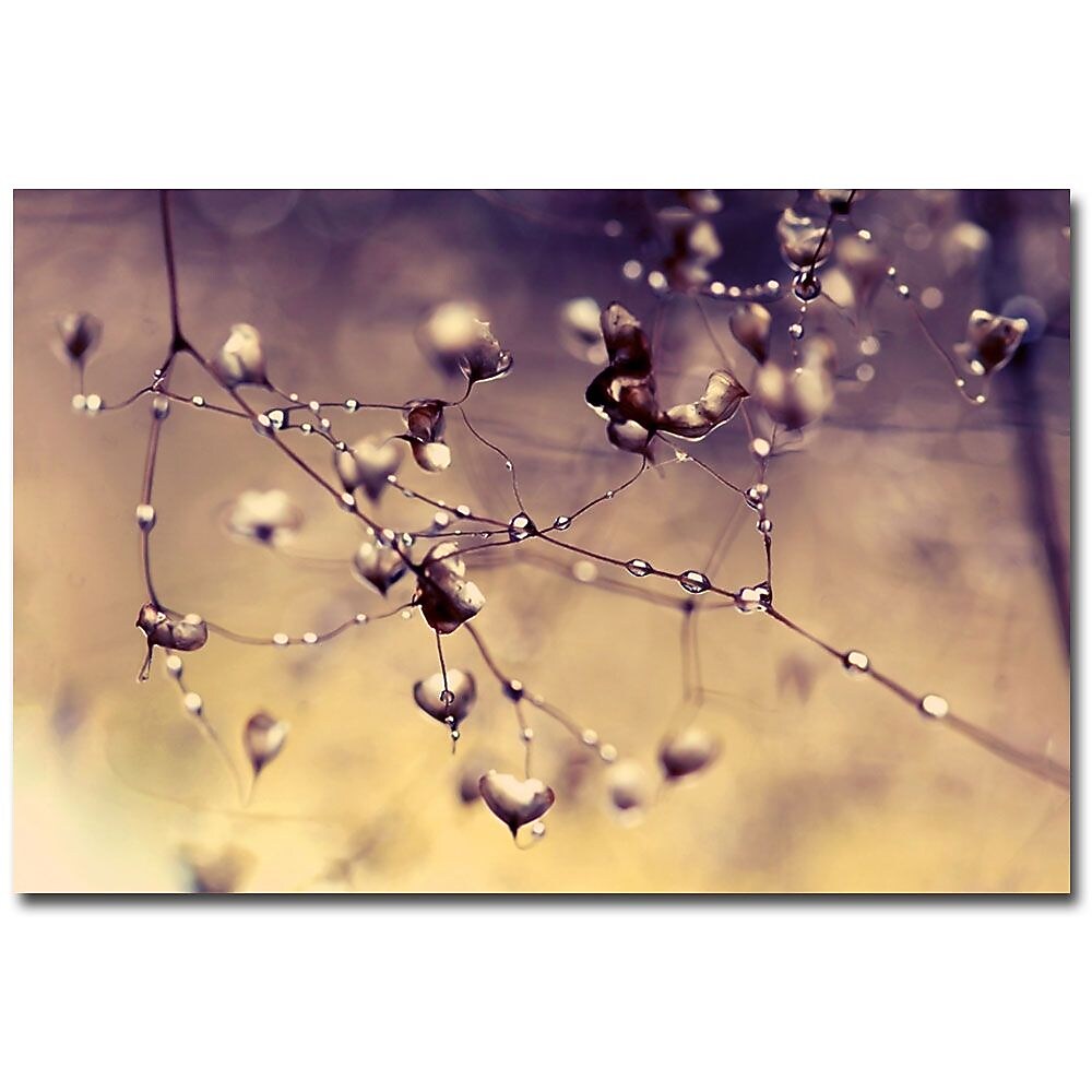 Trademark Fine Art Beata Czyzowska Young 'Blues in the Morning' Canvas Art, BC0008-C2232GG