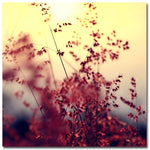 Trademark Fine Art Beata Czyzowska Young 'Memories of You' Canvas Art