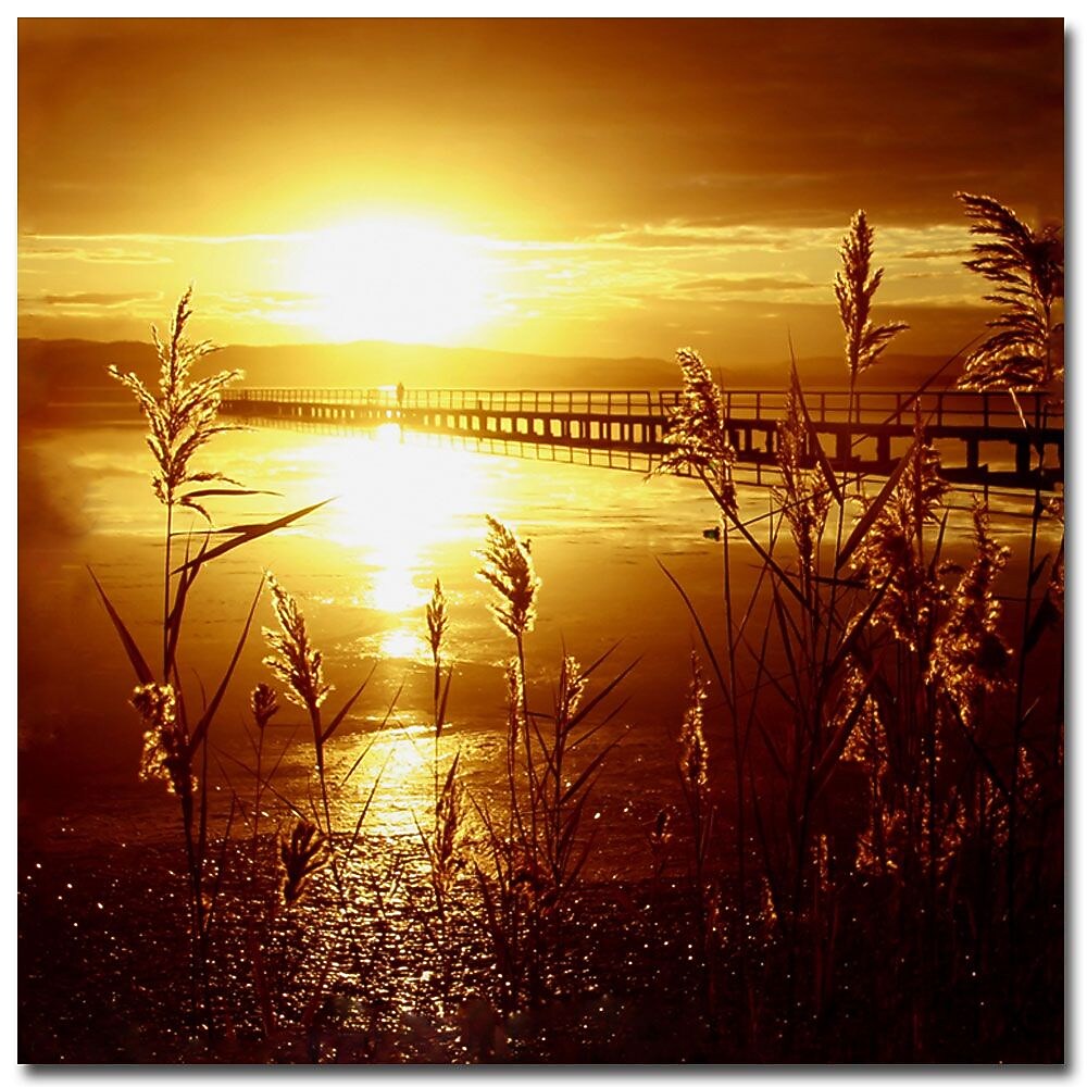 Trademark Fine Art Beata Czyzowska Young 'My Date with the Sun' Canvas Art 35x35 Inches