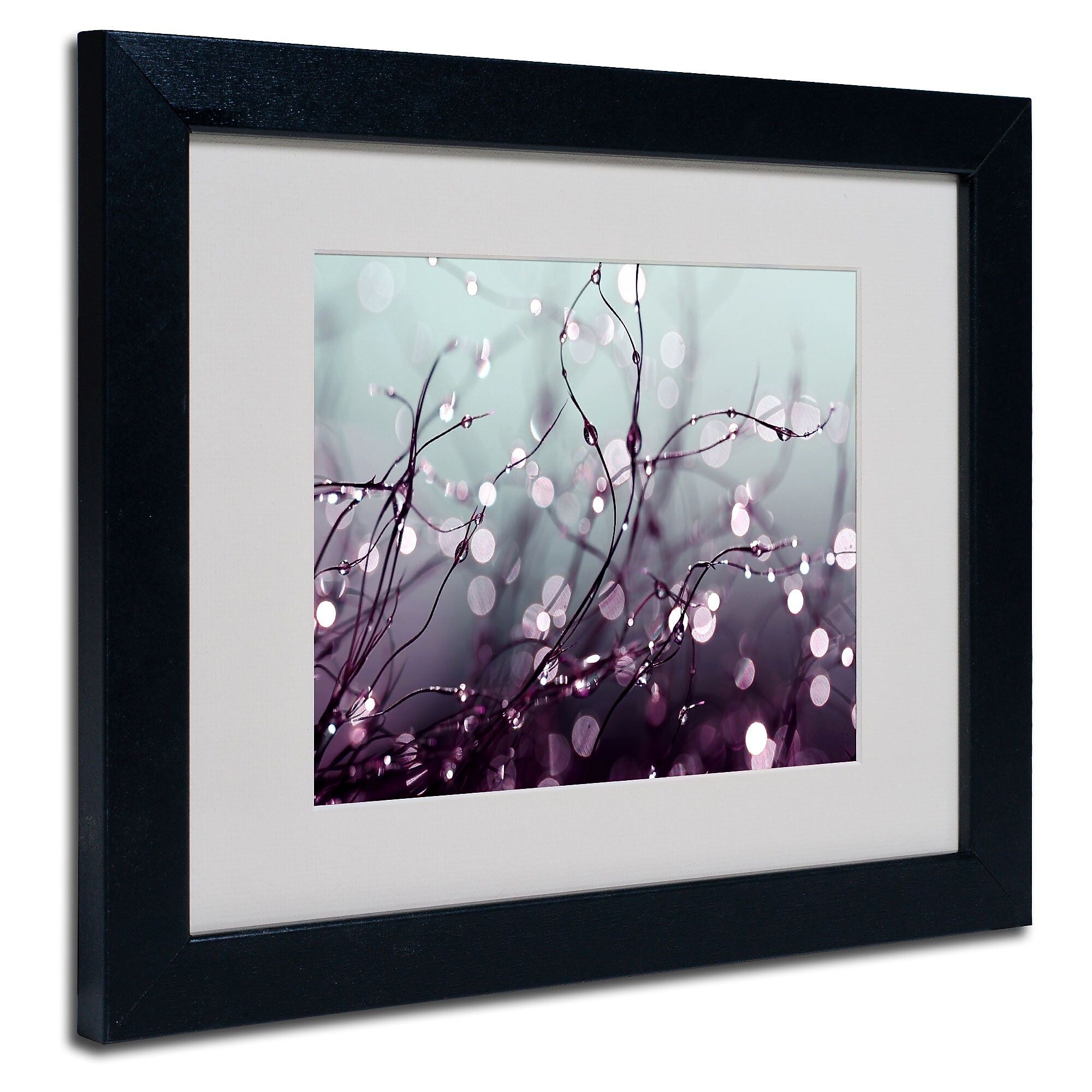 Trademark Fine Art Beata Czyzowska Young 'Somewhere Over the Rainbow' Matted Art Blk Frame 11x14 In