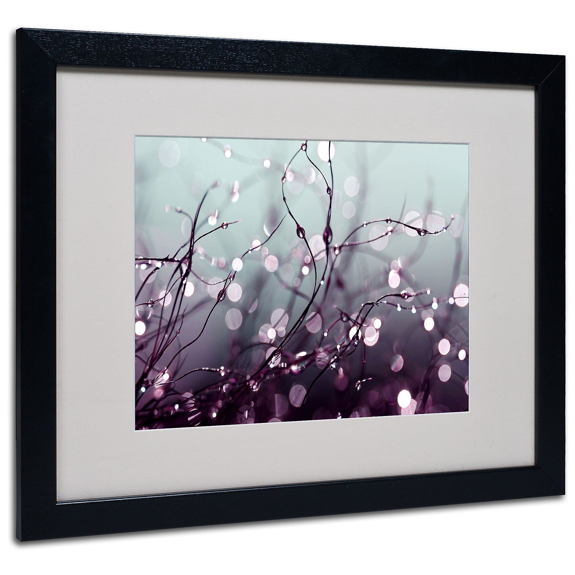 Trademark Fine Art Beata Czyzowska Young 'Somewhere Over the Rainbow' Black Frame 16x20 Inches