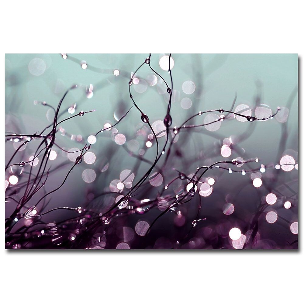 Trademark Fine Art Beata Czyzowska Young 'Somewhere Over the Rainbow' Canvas 22x32 Inches