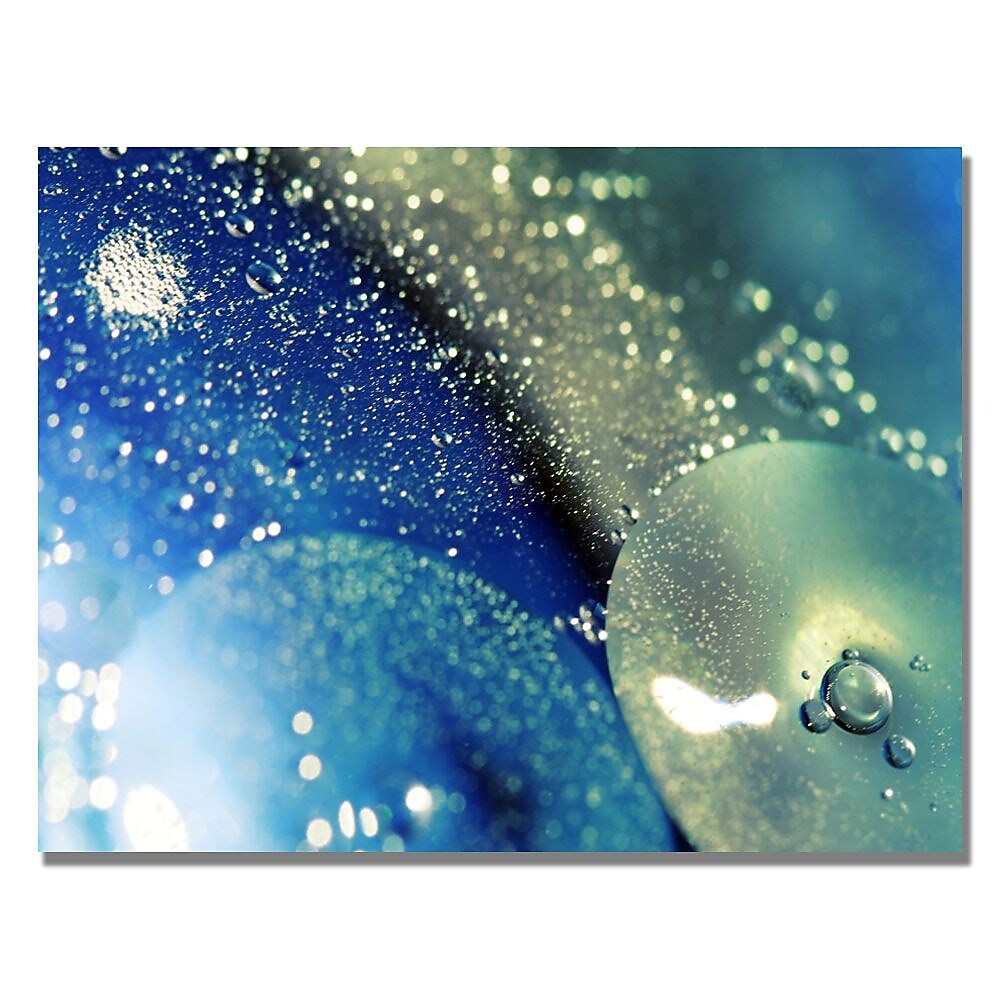 Trademark Fine Art Beata Czyzowska 'Land of Wishes' Canvas Art 30x47 Inches