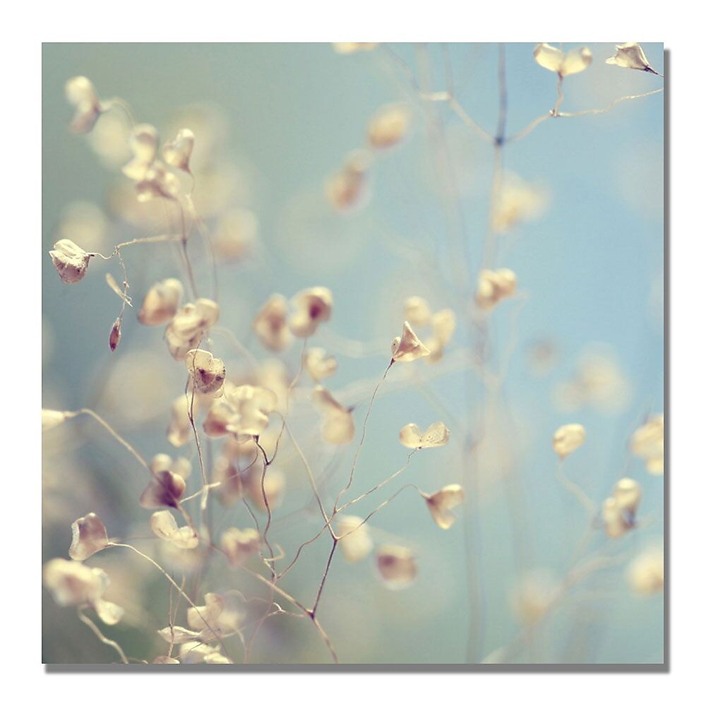 Trademark Fine Art Beata Czyzowska 'Little Secrets' Canvas Art