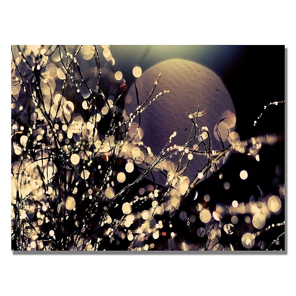Trademark Fine Art Beata Czyzowska Young 'Moonrise in Fairyland' Canvas Art 22x32 Inches