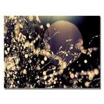 Trademark Fine Art Beata Czyzowska Young 'Moonrise in Fairyland' Canvas Art 22x32 Inches