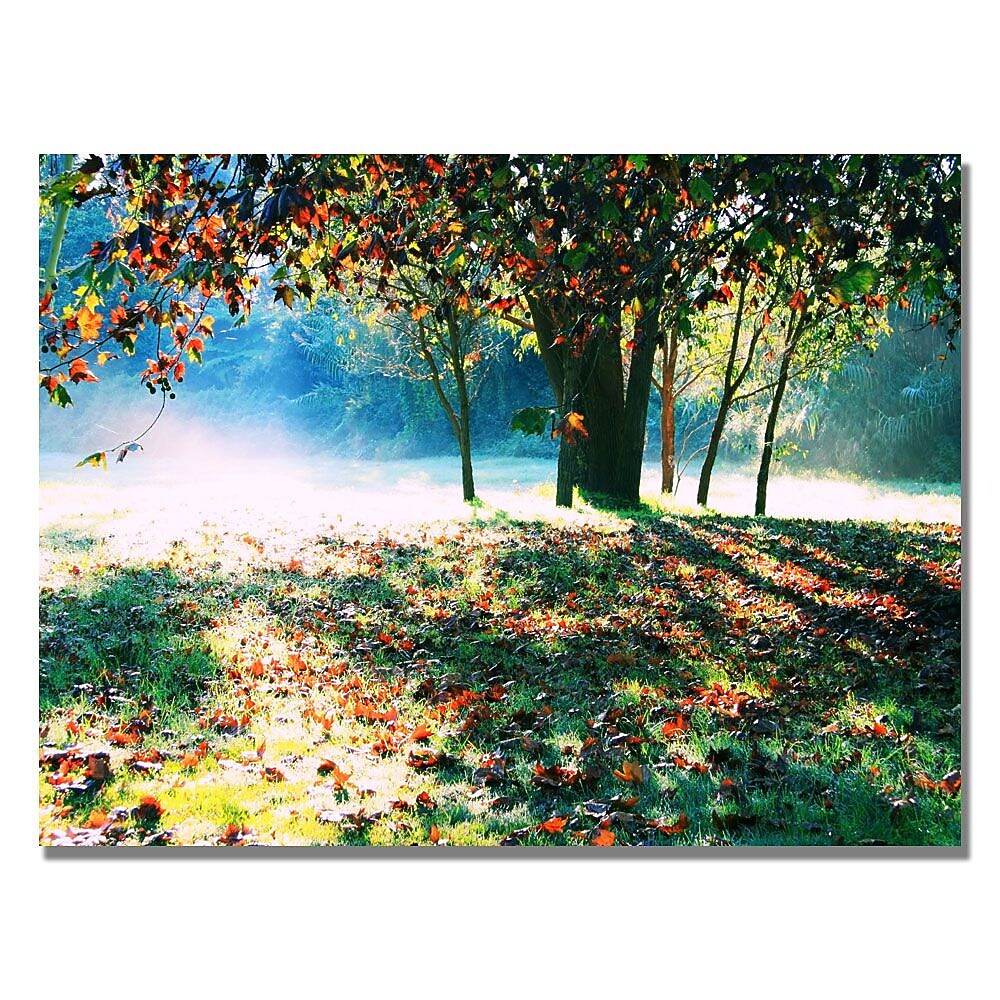 Trademark Fine Art Beata Czyzowska 'Morning Moods' Canvas Art 22x32 Inches
