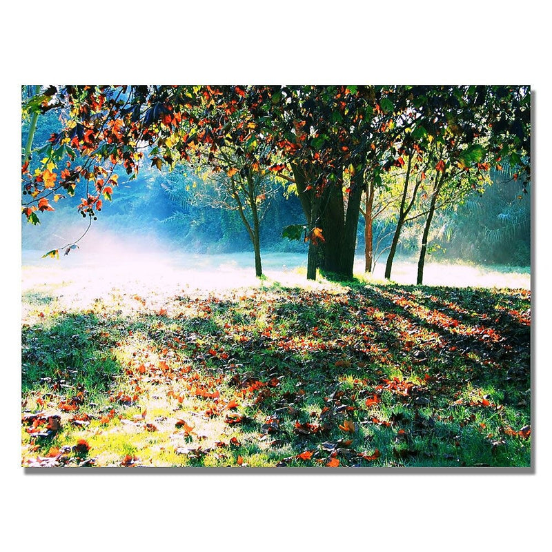 Trademark Fine Art Beata Czyzowska 'Morning Moods' Canvas Art 22x32 Inches