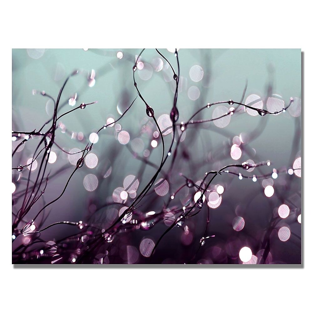 Trademark Fine Art Beata Czyzowska 'Somewhere Over the Rainbow' Canvas Art 18x24 Inches