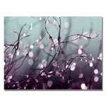 Trademark Fine Art Beata Czyzowska 'Somewhere Over the Rainbow' Canvas Art 18x24 Inches