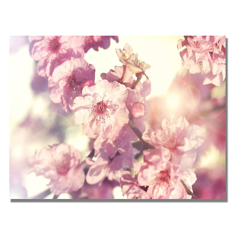 Trademark Fine Art Beata Czyzowska 'Spring Melody' Canvas Art
